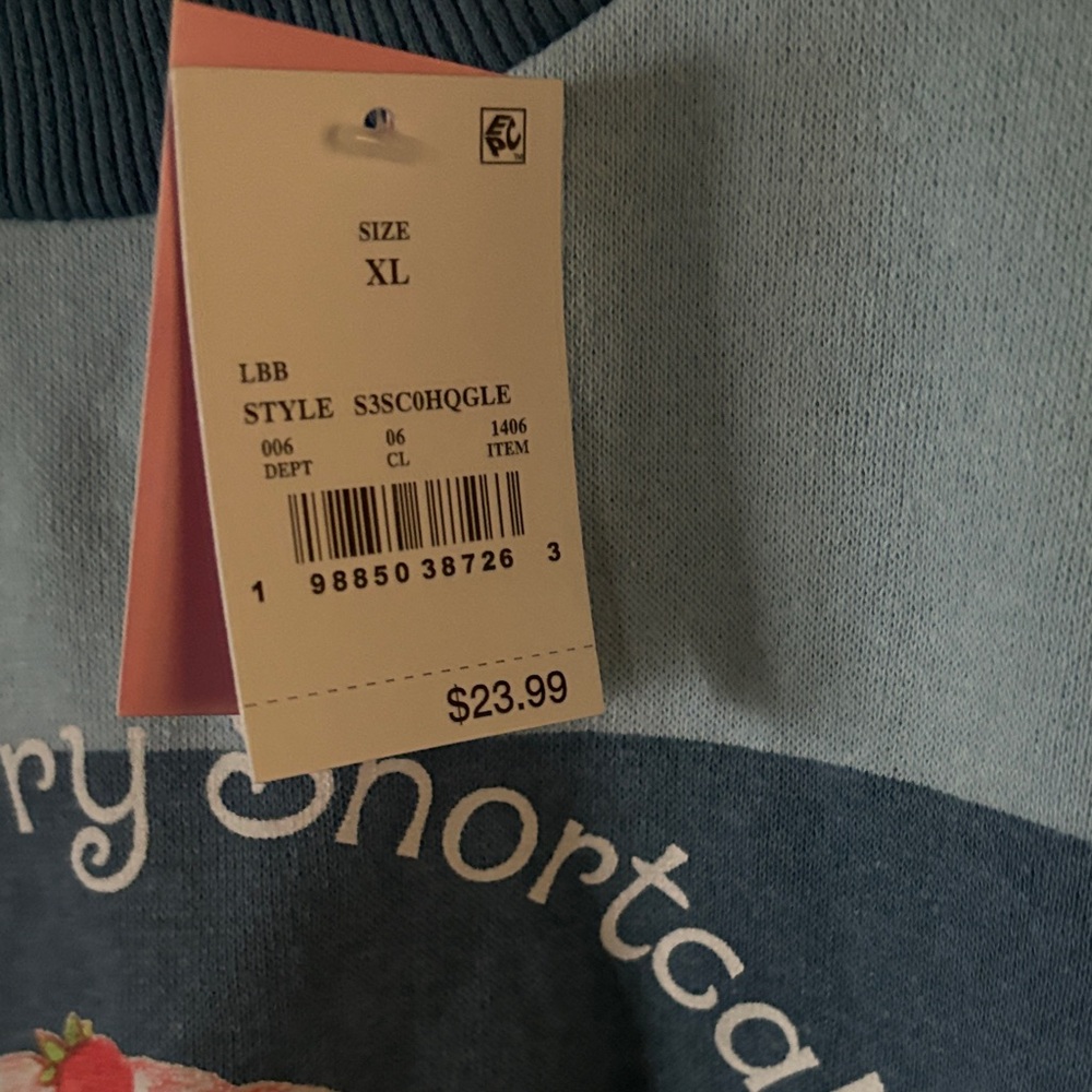 Striped Blue Cropped Sweatshirt with Strawberry Shortcake Design - Picture 4 of 7